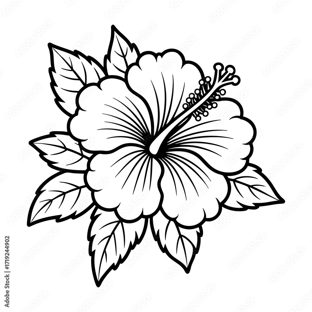 Obraz premium Colouring tropically flower