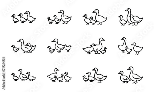 Collection of Line Art Icons – Birds, Flying Dove, Duck Family, Owl Face, Hummingbird, Parrot, Kite, Crane, and Decorative Floral Symbol Outline on White Background