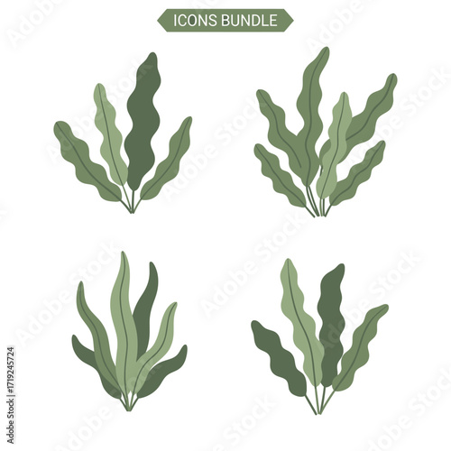 Four Green Seaweed Clipart Illustrations for Marine Life and Ocean Designs.