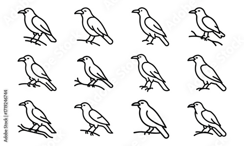 Collection of Line Art Icons – Birds, Flying Dove, Duck Family, Owl Face, Hummingbird, Parrot, Kite, Crane, and Decorative Floral Symbol Outline on White Background