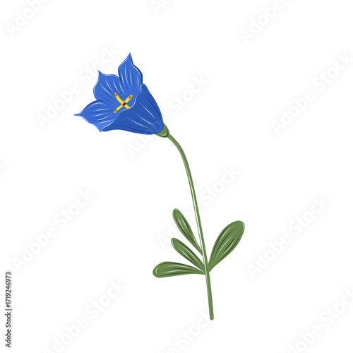Vector blue bellflower with delicate petals and long stem. Isolated wildflower for botanical collections, greeting cards, and patterns.