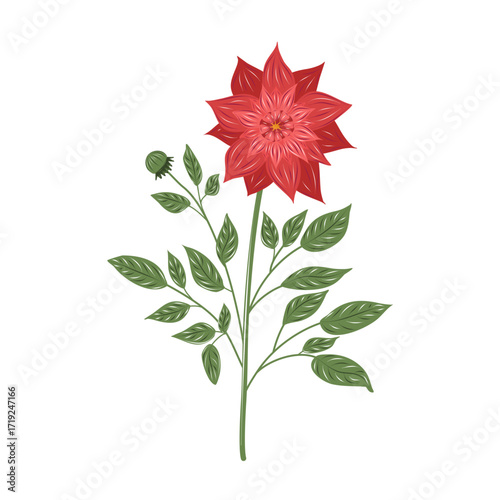 Elegant vector red dahlia flower with green leaves. Isolated botanical element for decorative ornaments, floral prints, and wedding design.