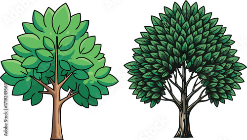 Tree Style Comparison with Broad and Dense Leaves, Light and Dark Trunks, Natural Foliage Texture, Vector Illustration for Nature Themes