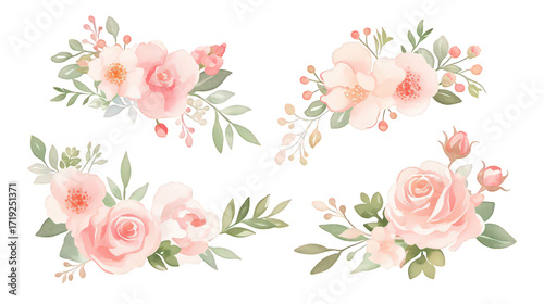 Collection Olive Branches Peony