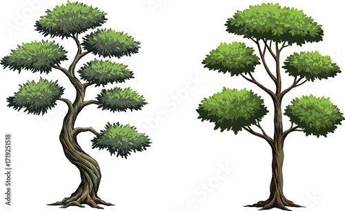 Twisted and upright tree illustration, stylized foliage contrast vector art for educational, botanical, decorative, landscape, and stock content use.