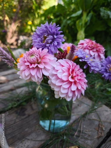 beautiful bright dahlia flowers in the garden 