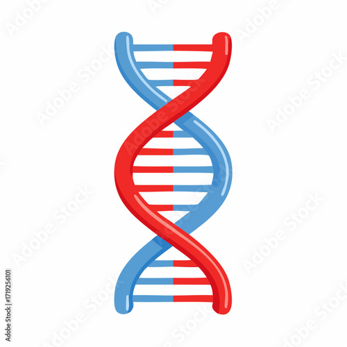 DNA Double Helix Illustration: A vibrant illustration of a DNA double helix, with its iconic twisted ladder structure, perfect for conveying concepts of genetics, biology, and scientific innovation.
