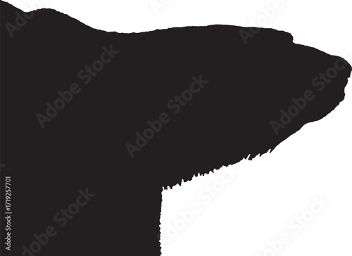 Abstract Black Background Solid Color Darkness Night Mysterious Concept