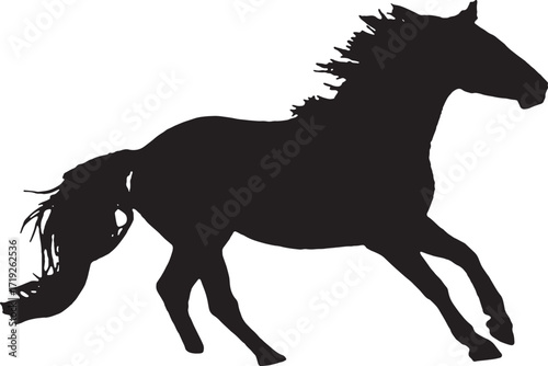 Dramatic silhouette of a horse head with flowing mane design