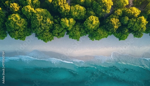 Aerial view of a tropical beach with lush greenery