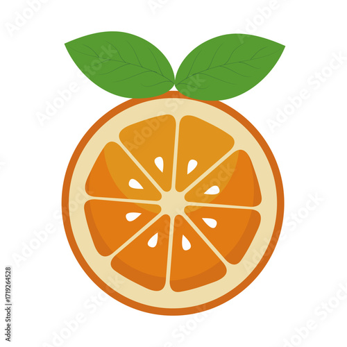 this is a vector image of an orange fruit