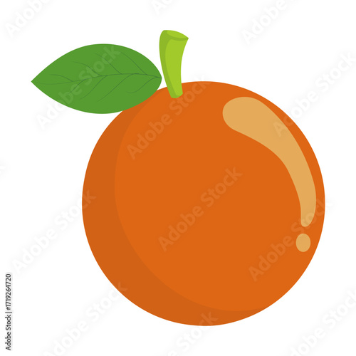 this is a vector image of an orange fruit