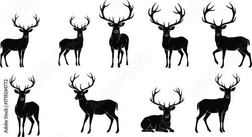 Deer silhouettes, antler wildlife, black animal shapes, forest creatures, standing poses, vector illustration, hunting theme, nature design, majestic bucks