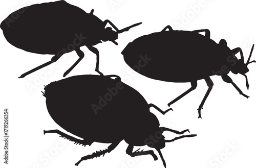 Minimalist Silhouette of a Beetle Insect on a Clean White Background