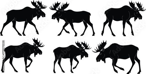 Moose silhouettes, walking poses, black animal shapes, antler wildlife, forest creatures, vector illustration, nature design, side profile, majestic elk, movement study