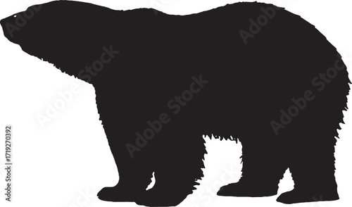 Silhouette of a horse head with mane flowing in black and white