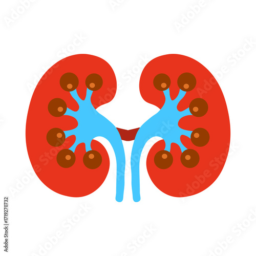 Glomerulonephritis