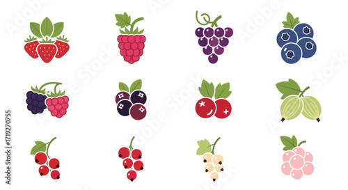 Assortment of Colorful Berries with Green Leaves Illustration.