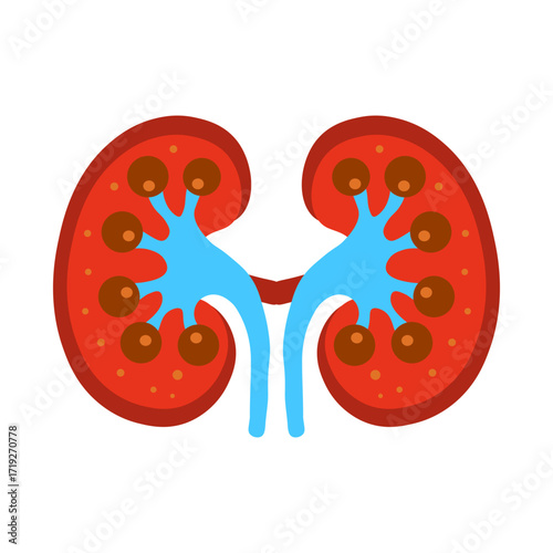 Glomerulonephritis