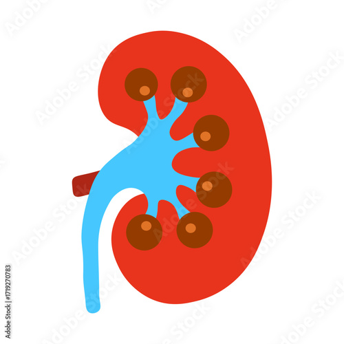Glomerulonephritis