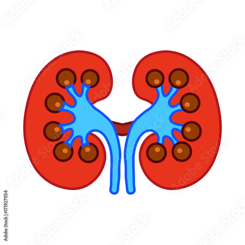 Glomerulonephritis