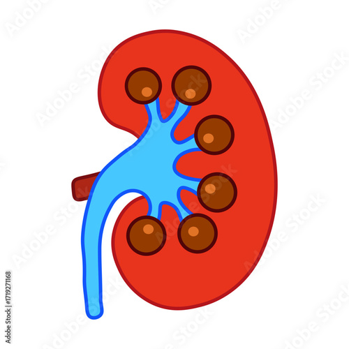 Glomerulonephritis