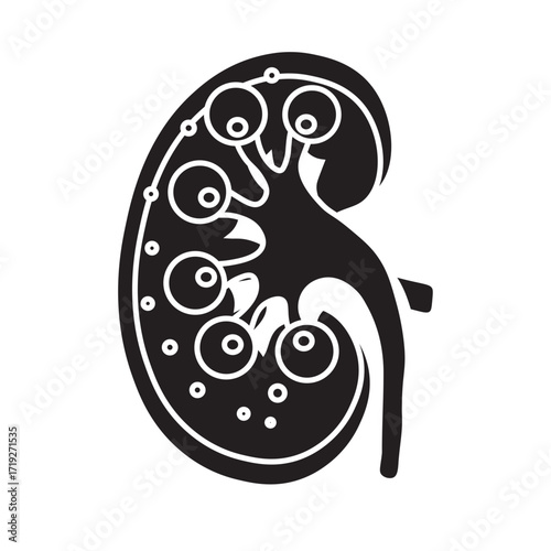 Glomerulonephritis glyph icon