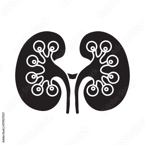 Glomerulonephritis glyph icon