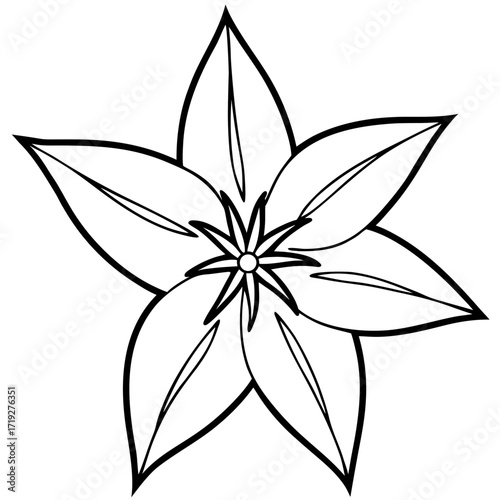 Minimalist Star of Bethlehem Line Art Vector Illustration on White Background