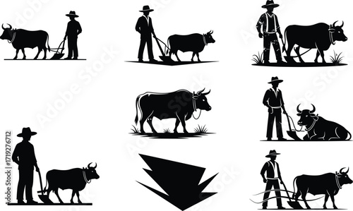 Oxen and farmer silhouette set, traditional agriculture scenes with plowing, walking, sitting, teamwork, rural life, black vector illustrations