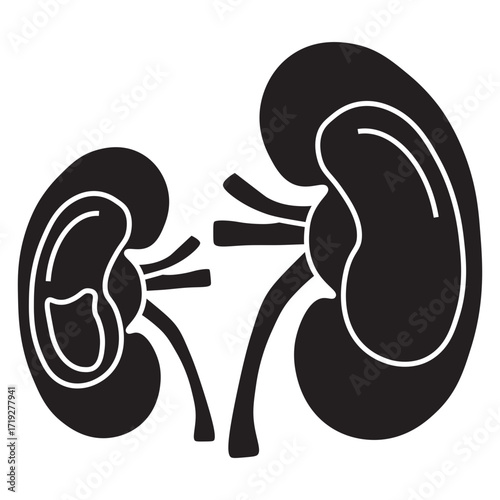 Hydronephrosis line icon