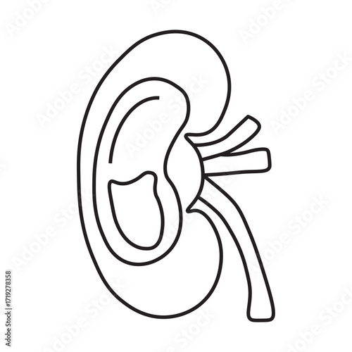 Hydronephrosis line icon