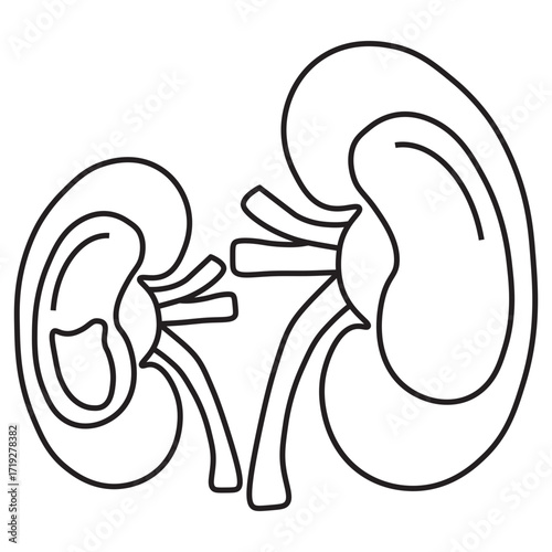 Hydronephrosis line icon