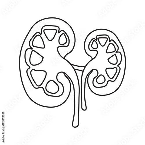 Hydronephrosis line icon