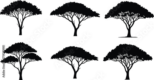 Acacia tree silhouettes, African savanna landscape, flat canopy trees, black and white illustration, nature design, botanical art, eco concept, minimal style, decorative graphic, natural background