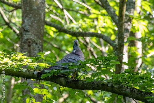bird on a tree