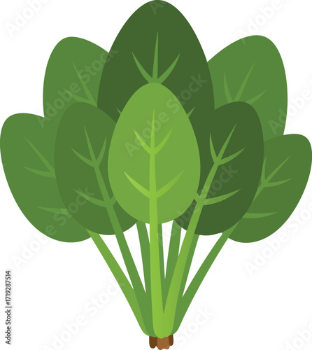 A bunch of vibrant green spinach leaves, ideal for healthy food packaging, nutrition guides, vegetarian diet, farm-to-table concepts, and botanical themes