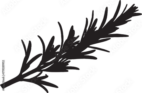 Black and white silhouette of stylized dill plant isolated art
