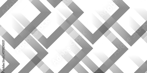 Geometric diagonal oblique vector curve gradient black and white graphic stripe line. Repeated fine diagonal lines Thin slash line stripes diagonal vector elegant background	