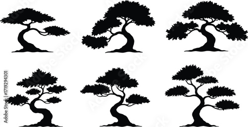 Stylized tree silhouettes, bonsai inspired, ornamental design, artistic nature, curved trunks, foliage artwork, woodland outline, botanical illustration, landscape art, decorative trees