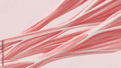 Muscular Anatomy Illustration: An abstract representation of human muscles, showcasing their intricate structure and form, highlighting the power and complexity of the human body.