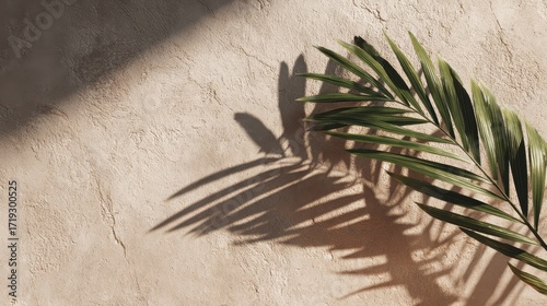 Creative Flat Lay of Colourful Leaves for Travel and Vacation Concept