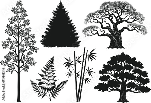 Tree and plant silhouette set, black vector illustration, bamboo, fern, evergreen, broadleaf trees, isolated nature elements, botanical clipart, editable design