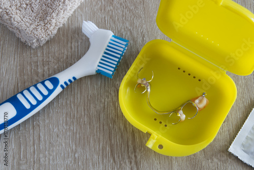 Dental prosthesis cleaning accessories for cleaning dental prostheses