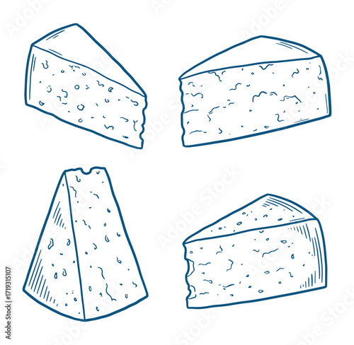 Hand drawn illustration of four different cheese wedges in a vintage line art style