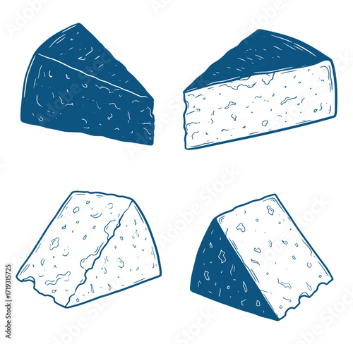 Hand drawn illustration of four different slices of cheese on white background