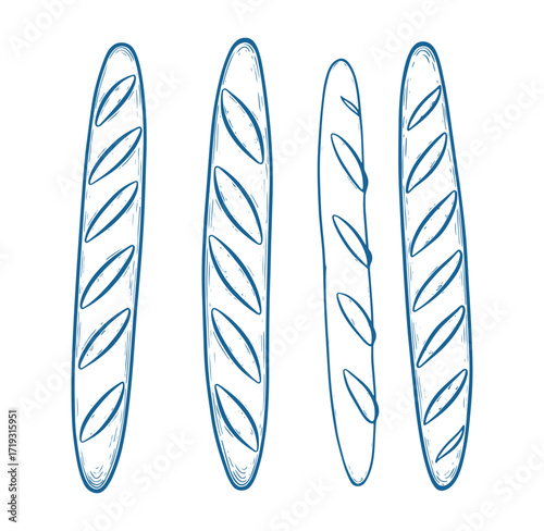 Hand drawn illustration of four long french baguettes perfect for bakery and food related designs