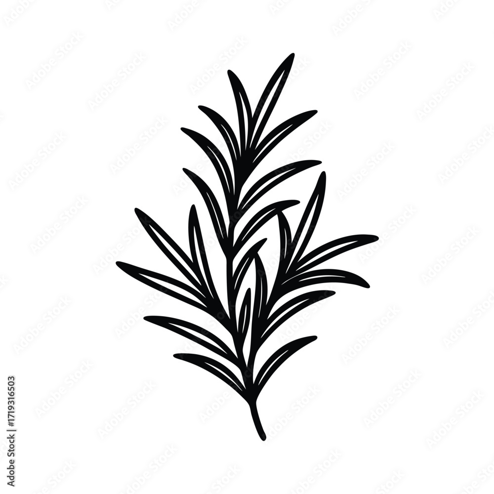 Fototapeta premium Rosemary Sprig Icon Vector Design
