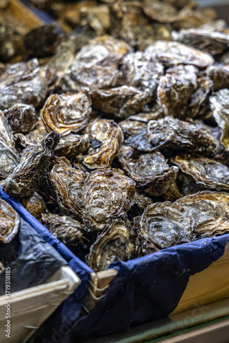 Biarritz France market oyster