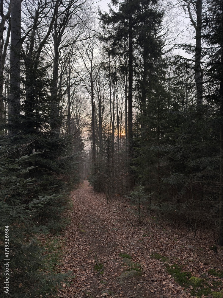 Obraz premium Nature photography Austria